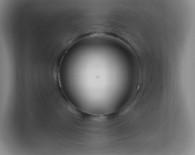 X0000113120576200909041308