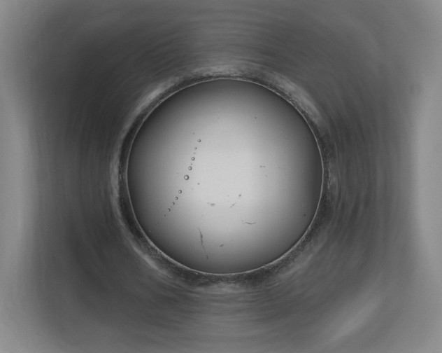 X0000113120578200909041308