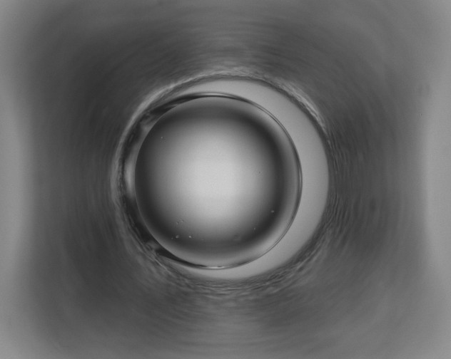 X0000113120579200909041308