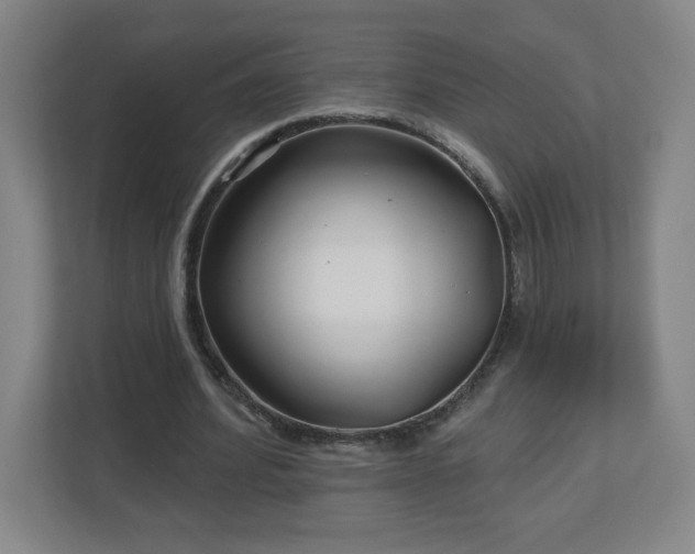 X0000113120580200909041308