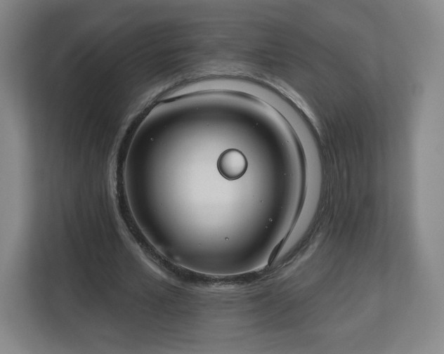 X0000113120581200909041308