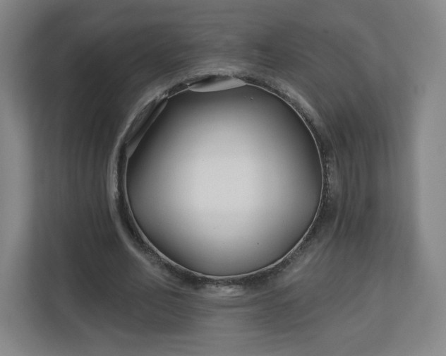 X0000113120582200909041308