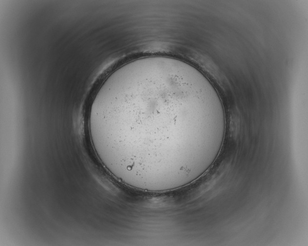 X0000113120584200909041308