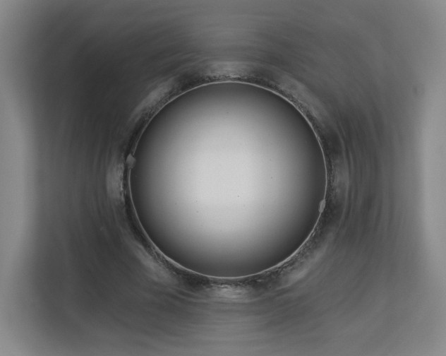 X0000113120585200909041308