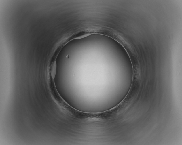 X0000113120586200909041308