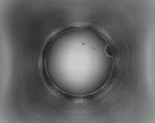 X0000113120587200909041307