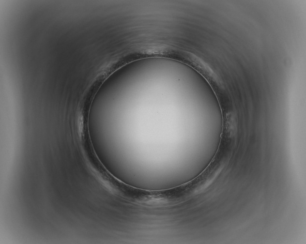 X0000113120589200909041307