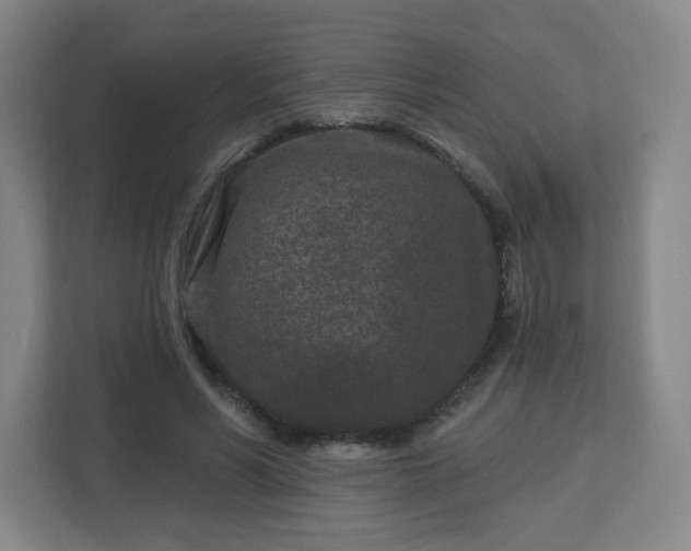 X0000113120590200909041307