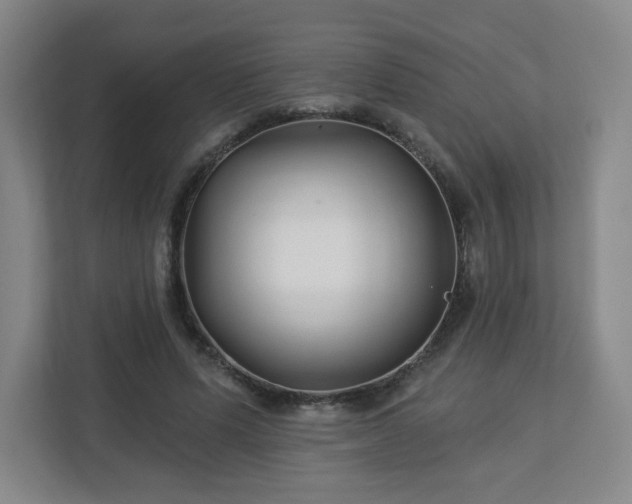 X0000113120591200909041307