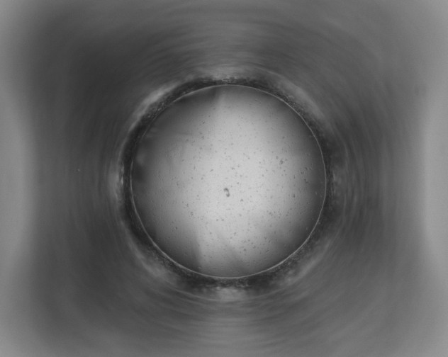 X0000113120592200909041307