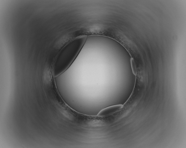 X0000113120593200909041307