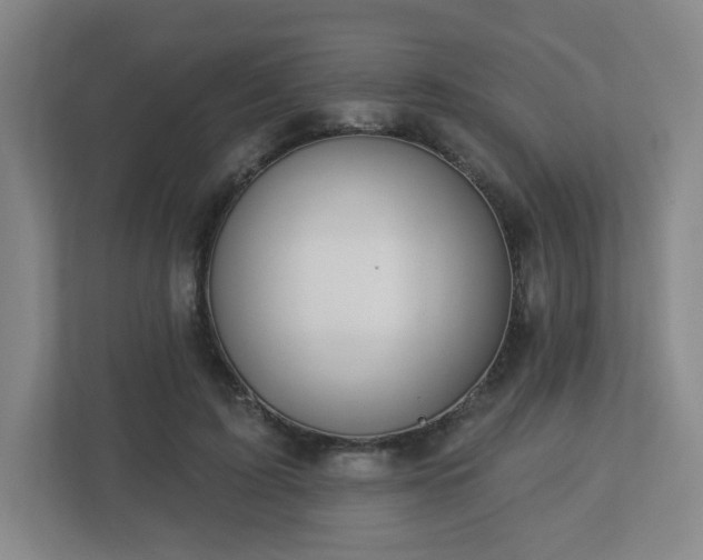 X0000113120595200909041307