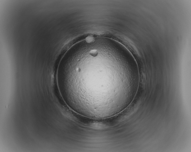 X0000113120596200909041307