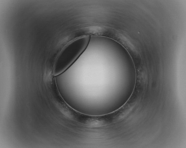 X0000113120597200909041307