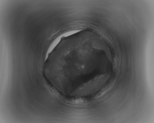 X0000113120600200909041307