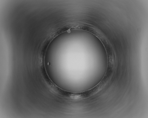 X0000113120602200909041307