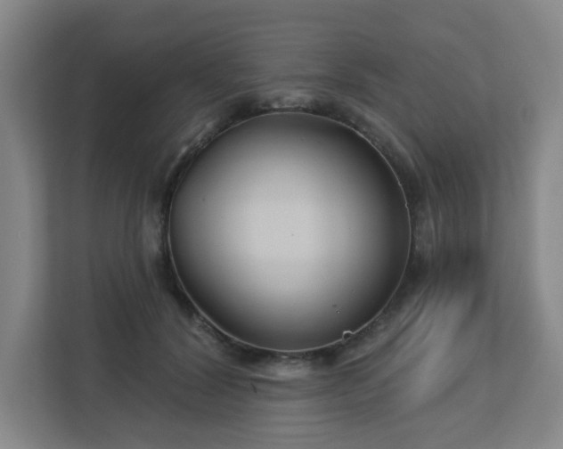 X0000113120604200909041307