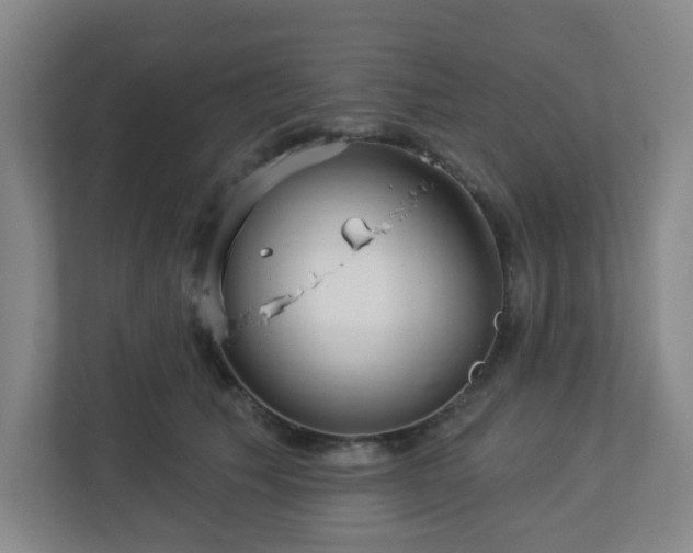 X0000113120609200909041307