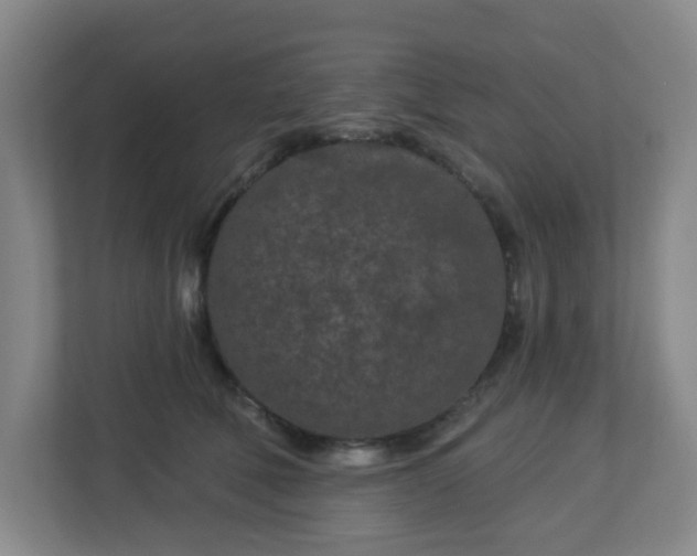 X0000113120610200909041307