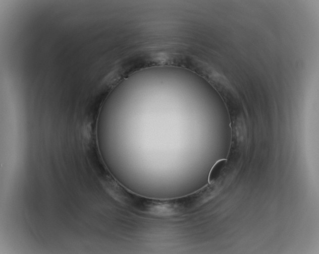 X0000113120611200909041307