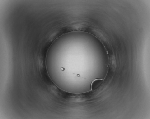 X0000113120615200909041307