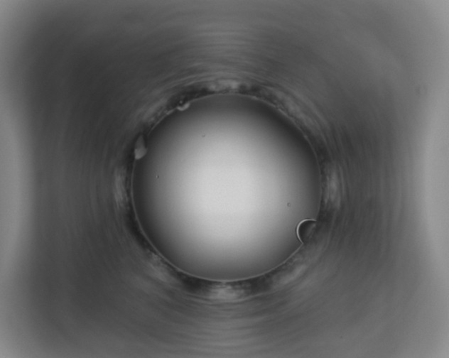 X0000113120616200909041307