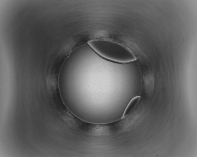 X0000113120617200909041307