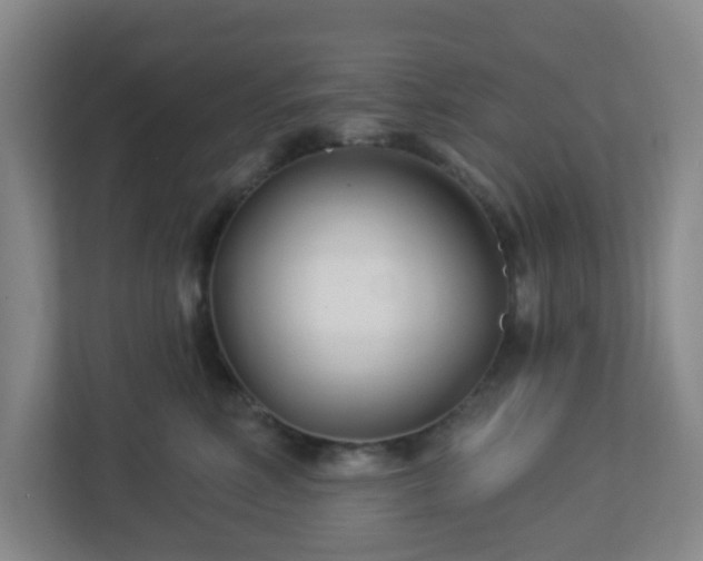 X0000113120618200909041307