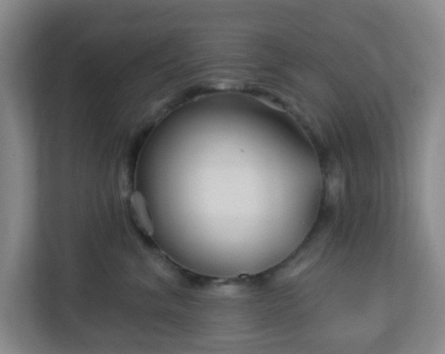 X0000113120620200909041307