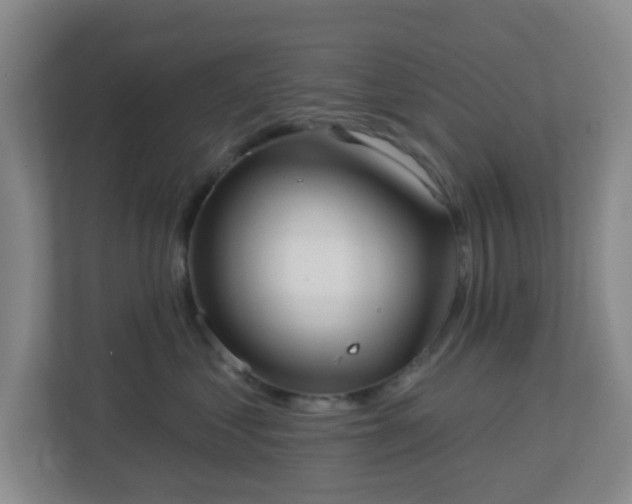 X0000113120621200909041307