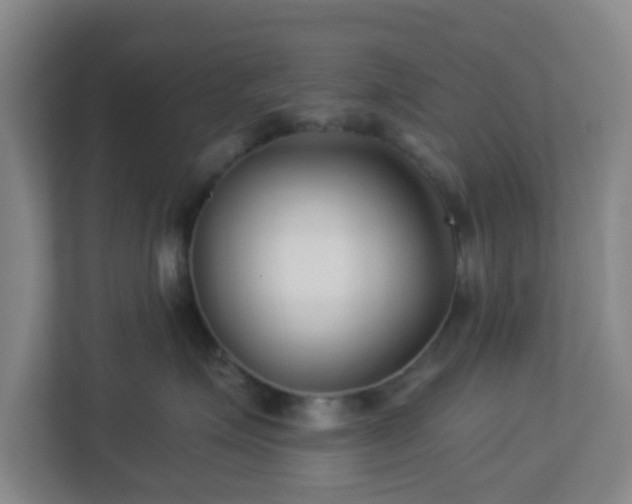 X0000113120623200909041307