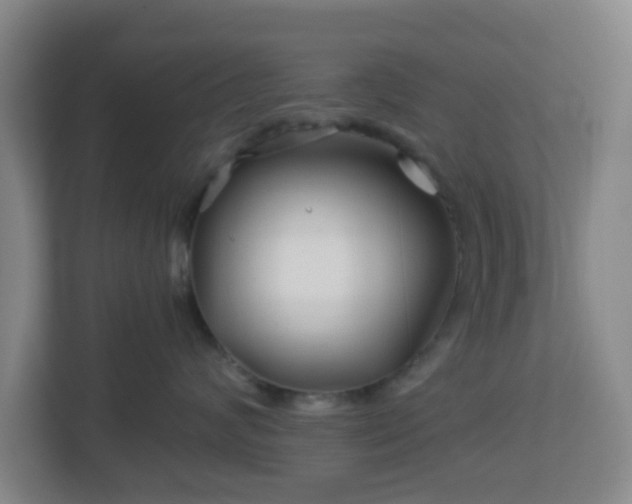 X0000113120624200909041307