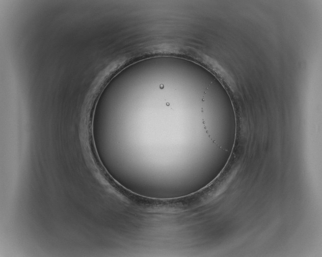 X0000113120625200909041306