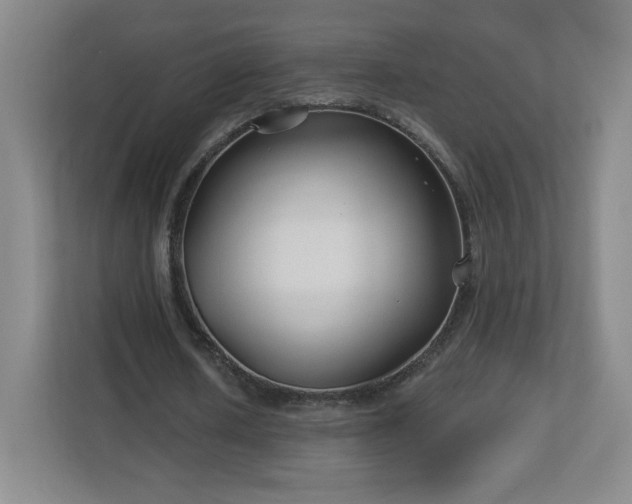 X0000113120626200909041306