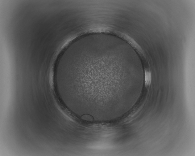 X0000113120627200909041306