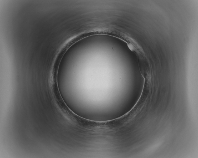 X0000113120628200909041306