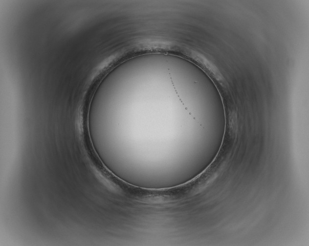 X0000113120629200909041306