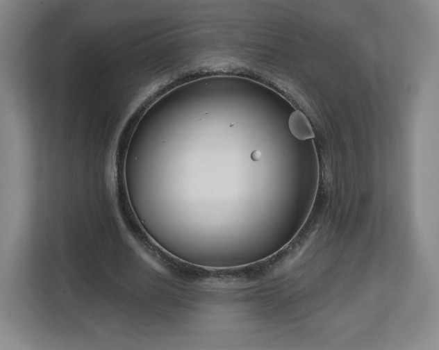 X0000113120630200909041306