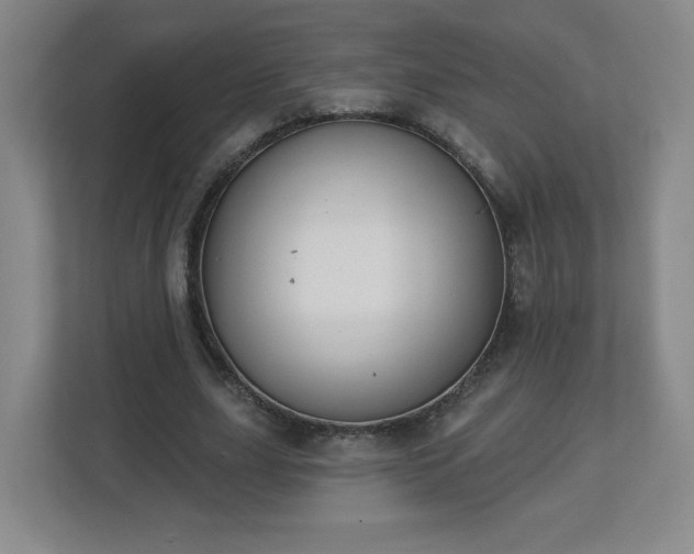 X0000113120631200909041306