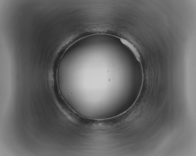 X0000113120634200909041307