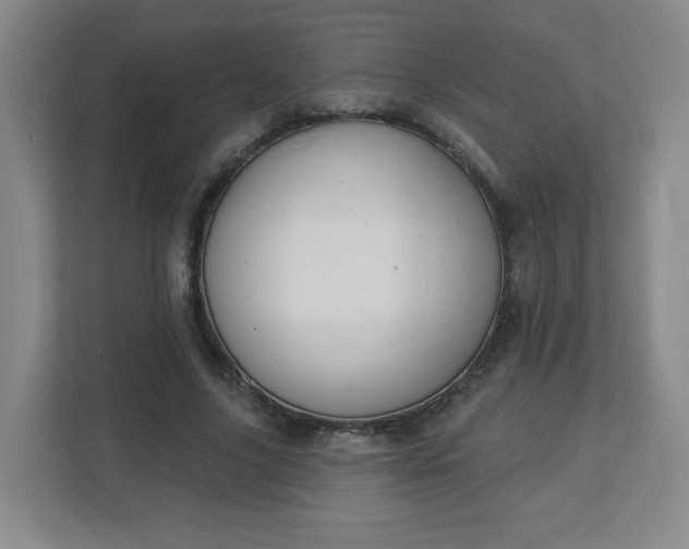 X0000113120635200909041307