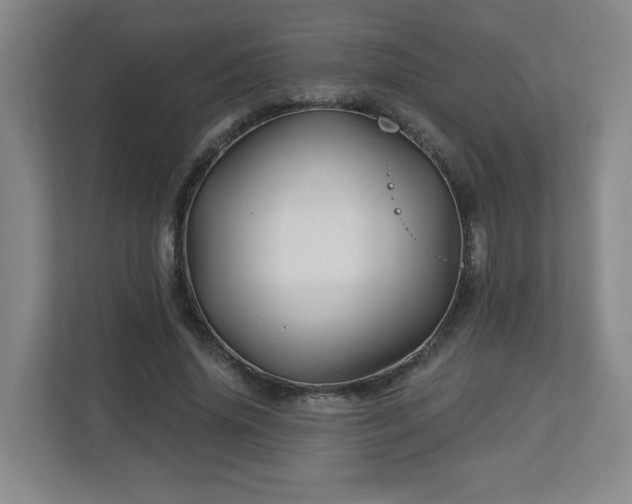 X0000113120636200909041307