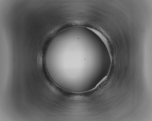 X0000113120637200909041307