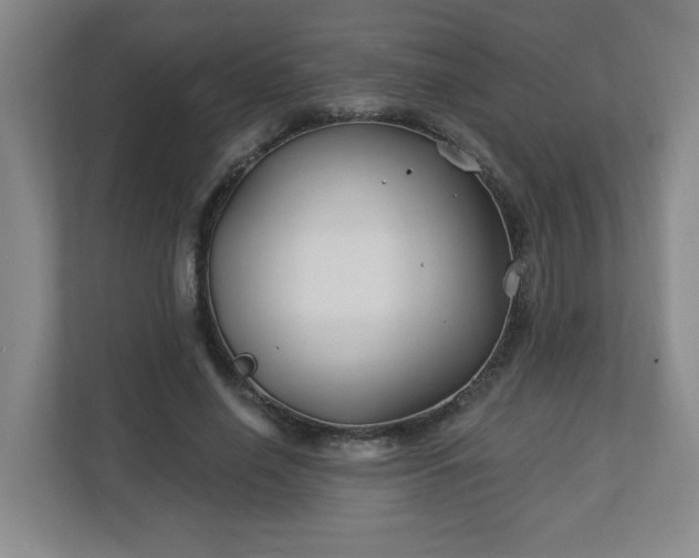 X0000113120638200909041307