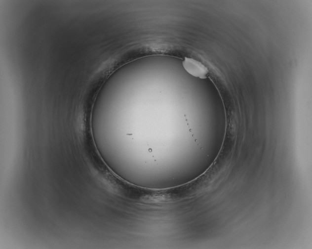 X0000113120639200909041307