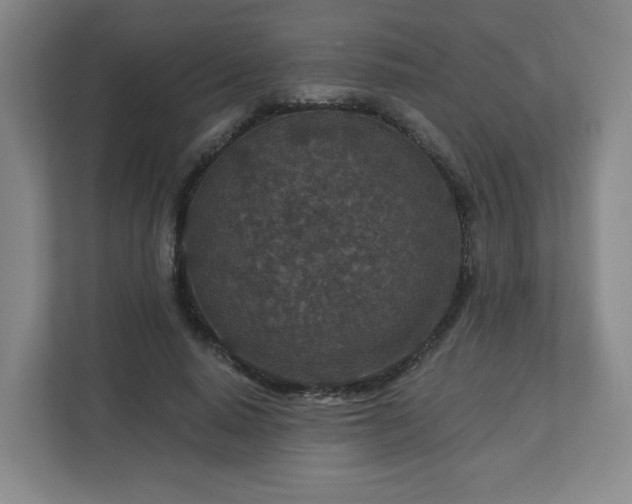 X0000113120640200909041307