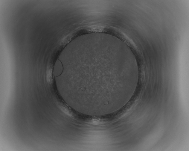 X0000113120641200909041307