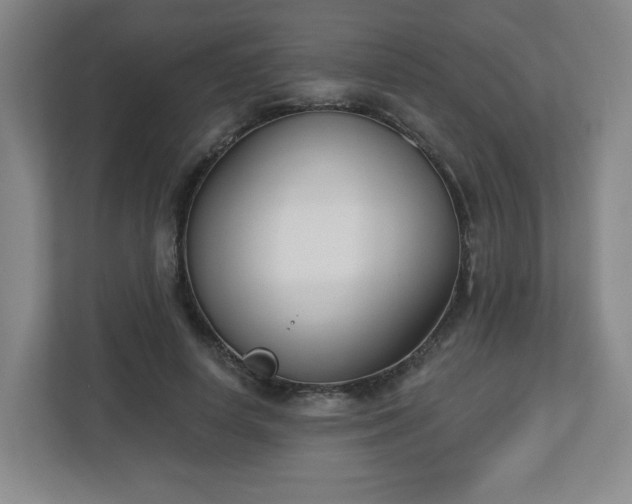 X0000113120642200909041307