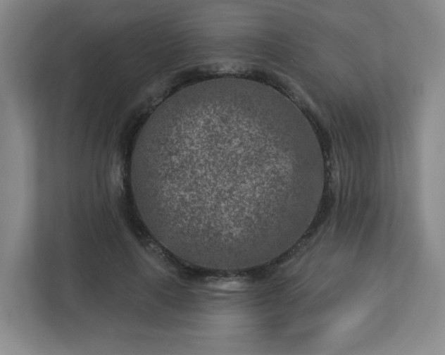 X0000113120643200909041307