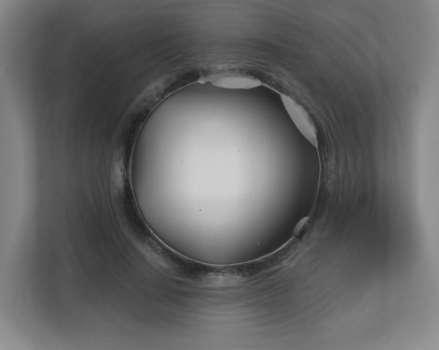 X0000113120644200909041307